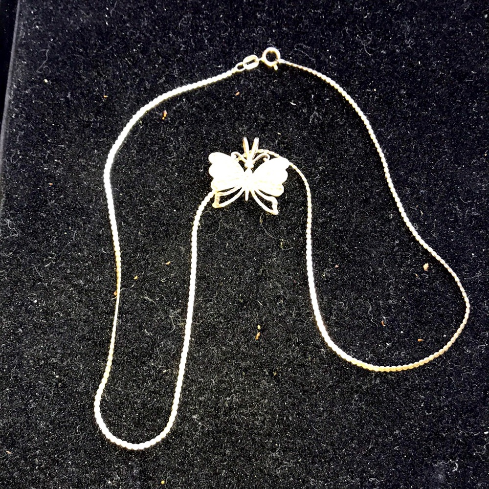 Stealing silver butterfly and necklace